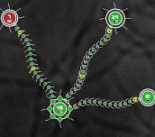 Tentacle Wars